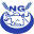 NSG- نهضة الكارة